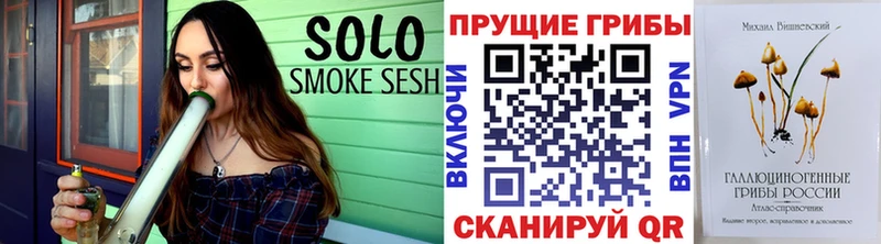 Купить закладки  Павлово  Псилоцибиновые грибы мицелий 
